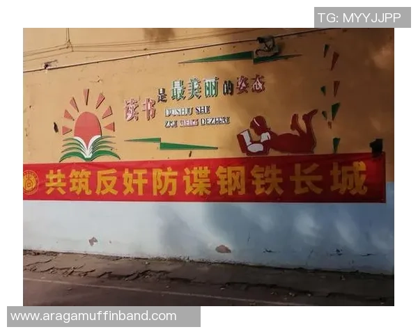 专业解读：武汉排球队的防反打法