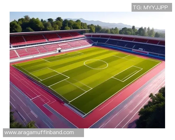 足球新手攻略：力量入门指南