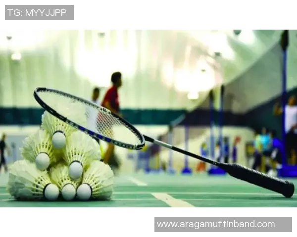 羽毛球巨献：探秘南京羽毛球队的耐力