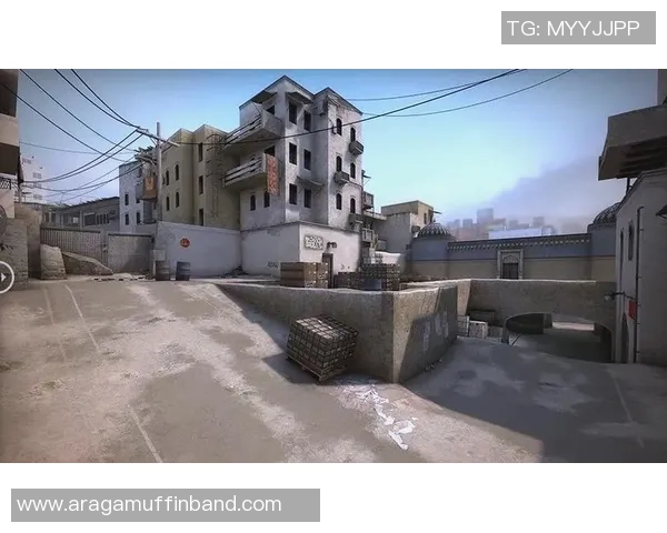 CS_GO战术：LNG的反击体系